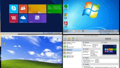 system development