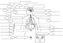 system engineer jobs
