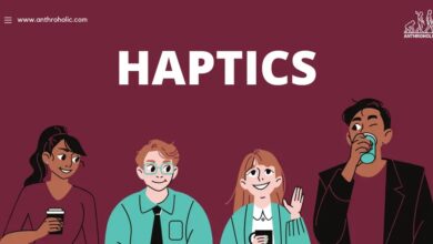 system haptics